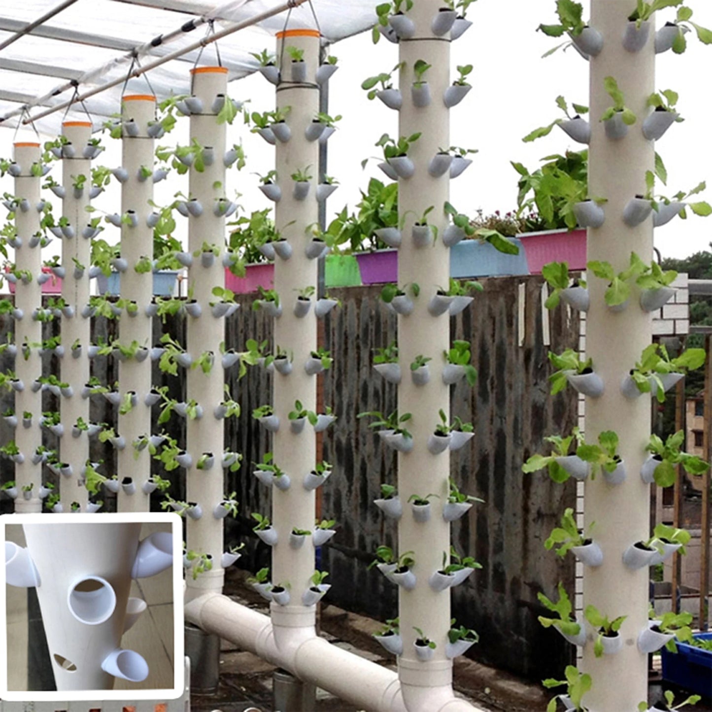Hydroponic Lita Planting System — Soilless Fruit & Vegetable Garden with Alloy Multi-Tooth Drill