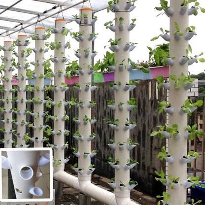 Hydroponic Lita Planting System — Soilless Fruit & Vegetable Garden with Alloy Multi-Tooth Drill