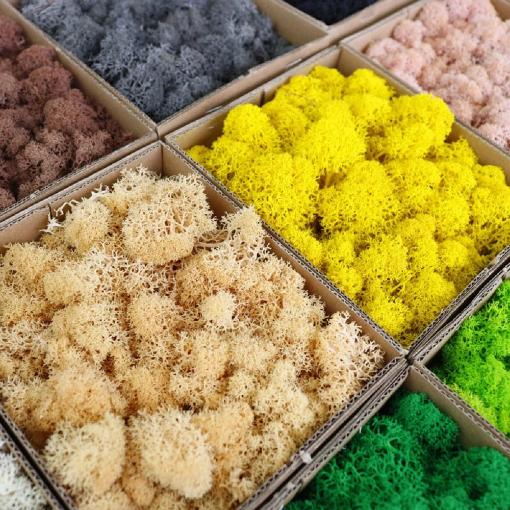 Artificial Green Plants for Eternal Life Moss DIY Crafts: Mini Landscape Fake Grass for Home, Room, and Garden Decor - Available in 20/40/100g