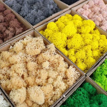 Artificial Green Plants for Eternal Life Moss DIY Crafts: Mini Landscape Fake Grass for Home, Room, and Garden Decor - Available in 20/40/100g