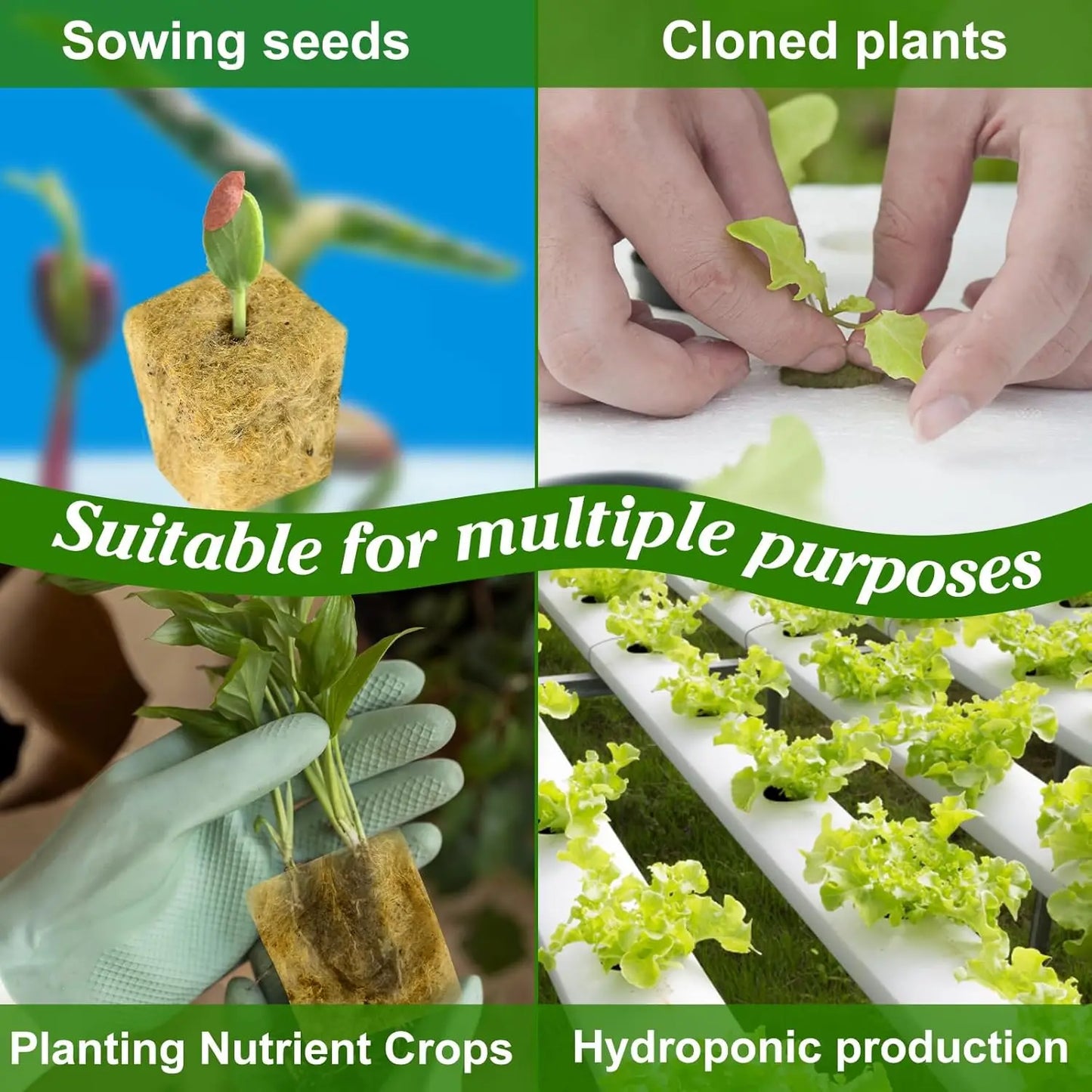 Sponge Block Starter Plugs — Rockwool Grow Cubes for Seedlings, Hydroponics & Plant Propagation