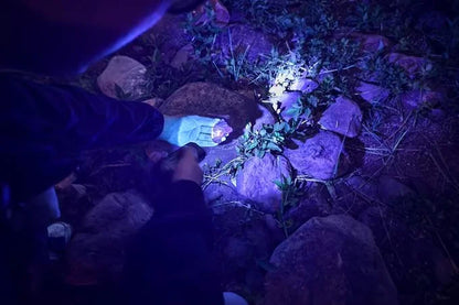 Wurkkos HD02 LED Camping Lamp – 3200 Lumens Portable Outdoor Hunting, Fishing & Hiking Rechargeable Searchlight