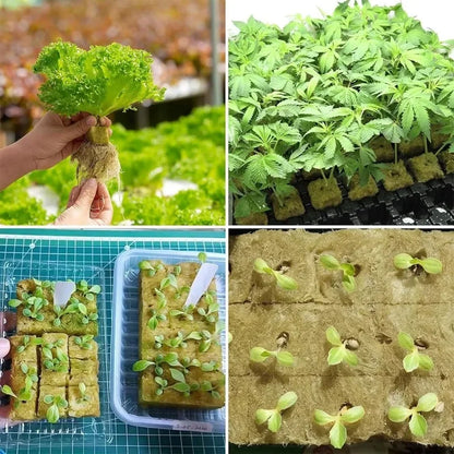 Seedling Grow Cubes — Stonewool Soilless Hydroponic Blocks for Vegetable & Plant Growing
