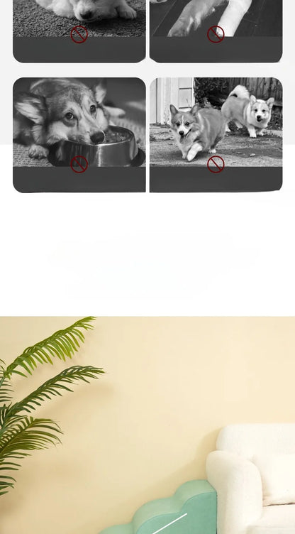 Pet 2/3-Step Stair Ramp for Dogs and Cats - Memory Foam Sponge, Removable and Washable, Training Pet Ramp for Sofa