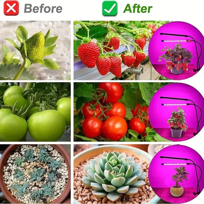 USB LED Plant Grow Light — Indoor Garden Full Spectrum Lamp with 10 Dimmable Levels, Timer Settings 3H/9H/12H for Hydroponic & Greenhouse Plants