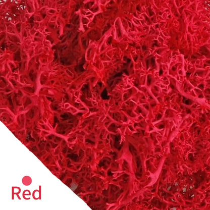 48640854982963|48640855015731|48640855114035