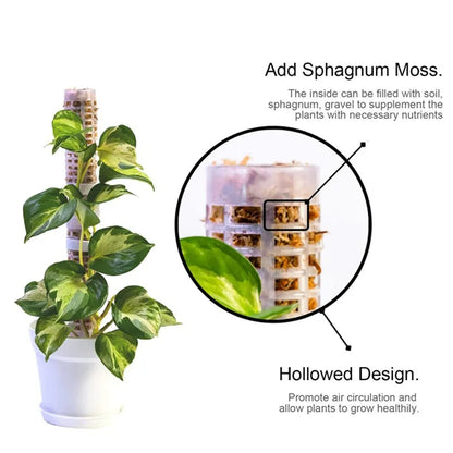 Green Dill Vine Garden Accessories - Plant Climbing Frame Trellis Supporting Stick Plastic Moss Pole for Indoor Plant Pot Stand