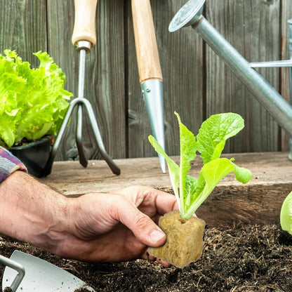 Seedling Grow Cubes — Stonewool Soilless Hydroponic Blocks for Vegetable & Plant Growing