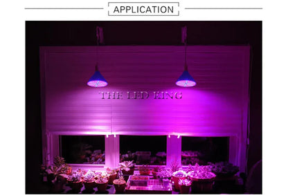 Phyto Lamp Full Spectrum LED Grow Light — E27 Plant Lamp for Indoor Seedlings, Flowers & Grow Tent Box