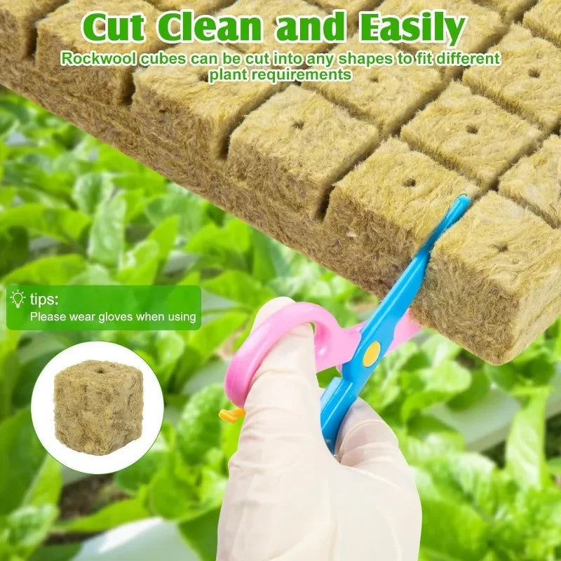 Seedling Grow Cubes — Stonewool Soilless Hydroponic Blocks for Vegetable & Plant Growing