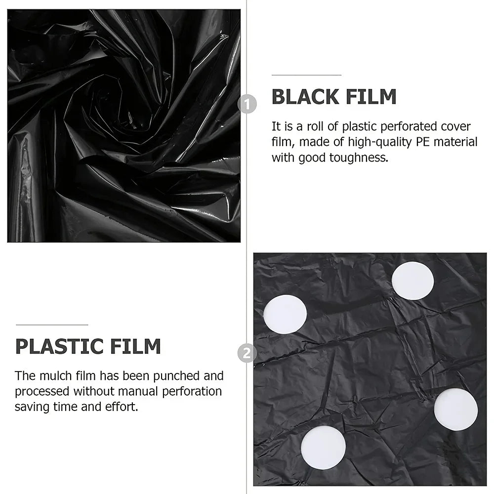 Black Plastic Mulch Film — High-Quality Vegetable Growing Film for Greenhouses & Plant Protection