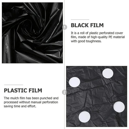 Black Plastic Mulch Film — High-Quality Vegetable Growing Film for Greenhouses & Plant Protection