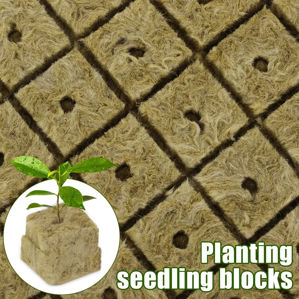 Stonewool Hydroponic Grow Cubes — 500/50x Seedling Blocks for Garden Germination & Water Cultivation
