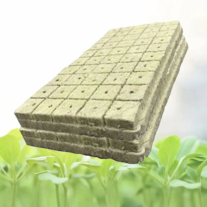 50pcs 25x25x25mm Stonewool Hydroponic Grow Cubes — Rockwool Seedling Blocks for Soilless Plant Cultivation