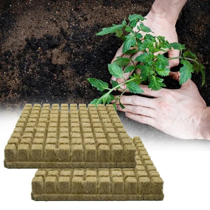 50pcs 25x25x25mm Stonewool Hydroponic Grow Cubes — Rockwool Seedling Blocks for Soilless Plant Cultivation