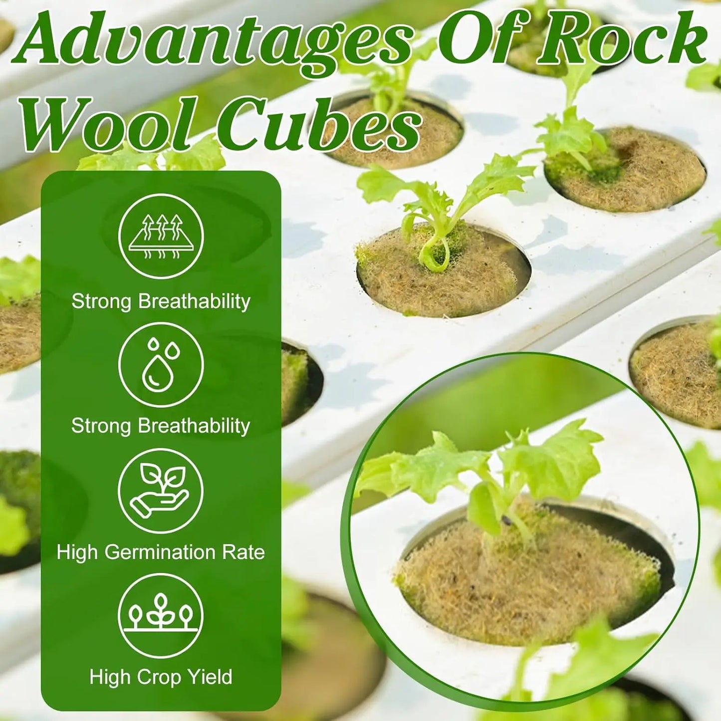 Sponge Block Starter Plugs — Rockwool Grow Cubes for Seedlings, Hydroponics & Plant Propagation