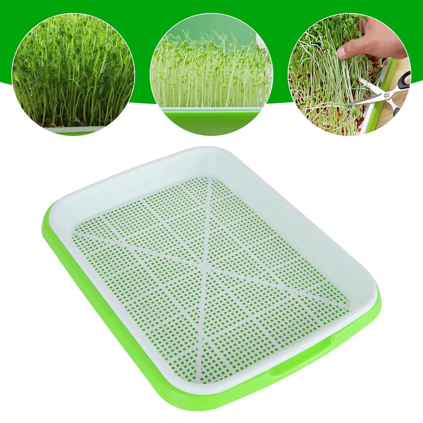 Microgreens Sprouter Tray — Hydroponic Sprouting Tray for Garden, Nursery & Potted Plants