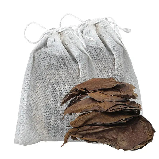 Aquarium Almond Catappa Leaves – Betta & Shrimp Fish Tank Accessories for Creating a Rainforest Environment