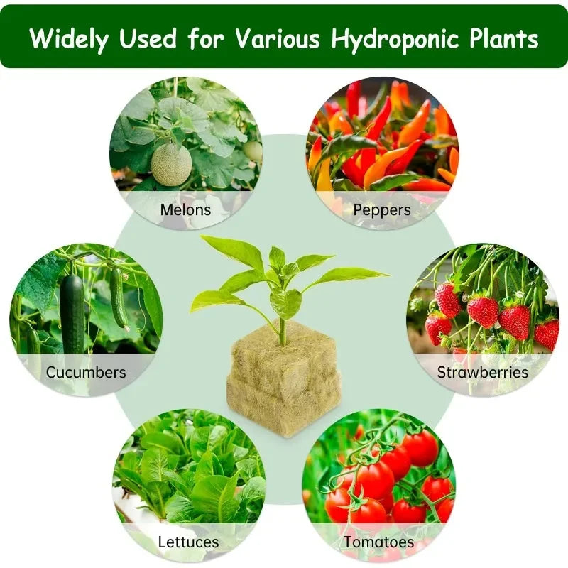 Seedling Grow Cubes — Stonewool Soilless Hydroponic Blocks for Vegetable & Plant Growing