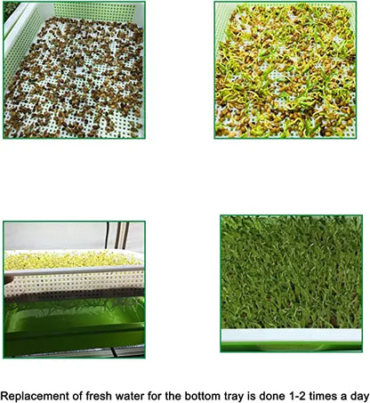 Seed Germination Tray – Seedling & Wheatgrass Planting Tray for Soilless Cultivation