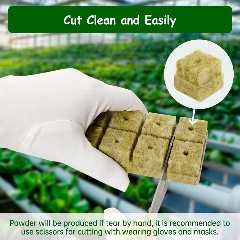 Seedling Grow Cubes — Stonewool Soilless Hydroponic Blocks for Vegetable & Plant Growing