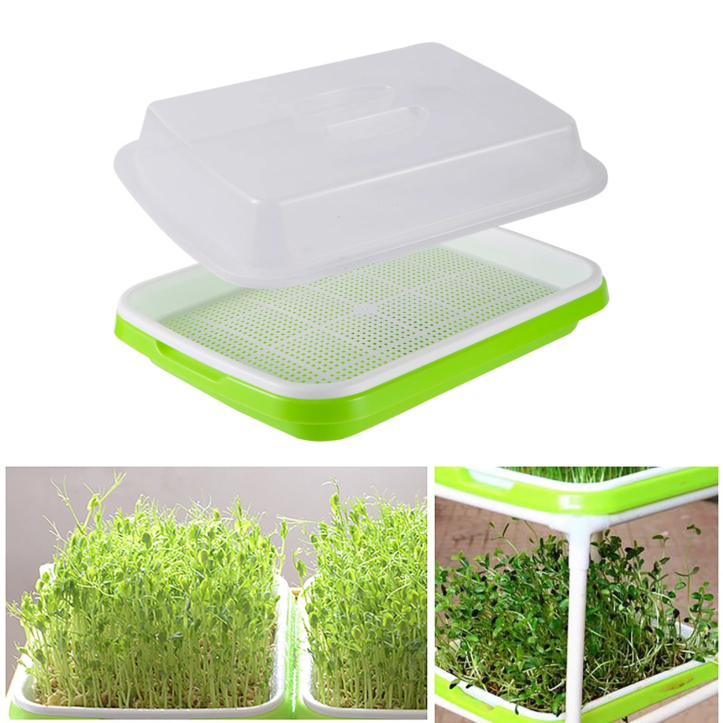 Seed Germination Tray – Seedling & Wheatgrass Planting Tray for Soilless Cultivation