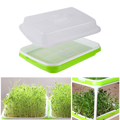 Seed Germination Tray – Seedling & Wheatgrass Planting Tray for Soilless Cultivation