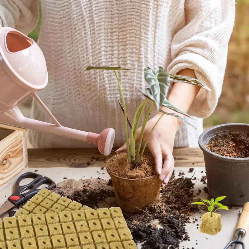 Sponge Block Starter Plugs — Rockwool Grow Cubes for Seedlings, Hydroponics & Plant Propagation