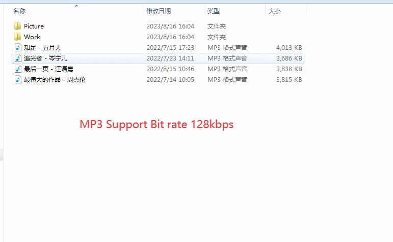 Mini USB MP3 Player with LCD Screen – USB 2.0 Music Player with FM Radio Function & Flash Drive Design