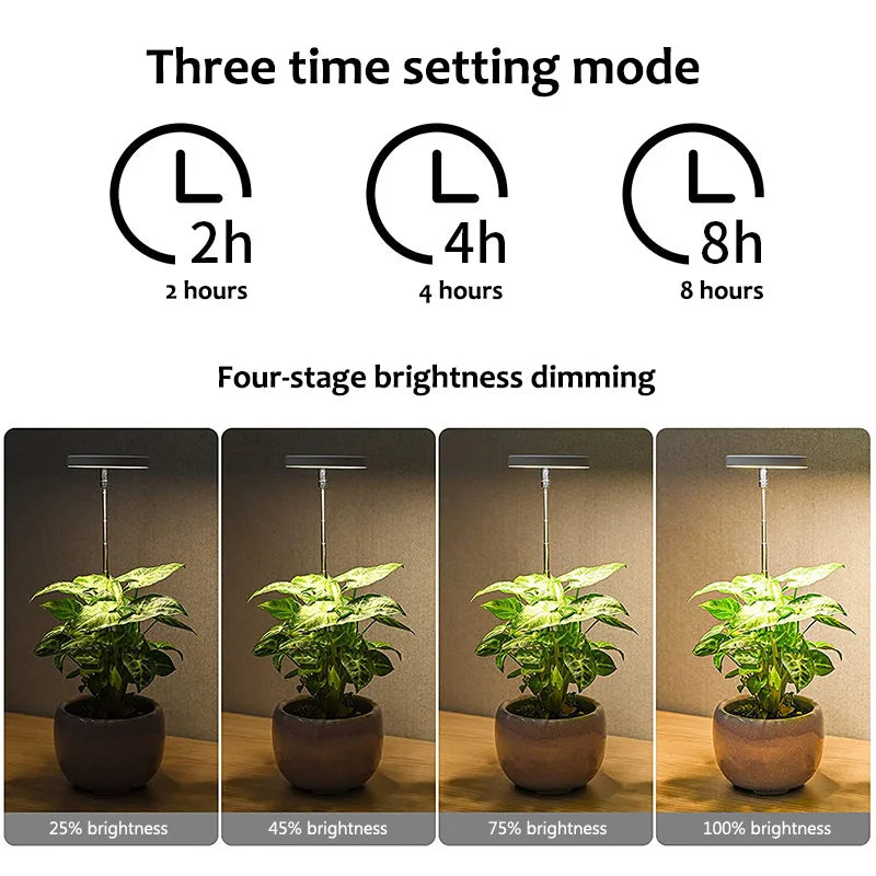 LED Indoor Angel Ring Plant Growth Light - USB 5V with On/Off Timer - Retractable Height Full Spectrum Simulated Sunlight