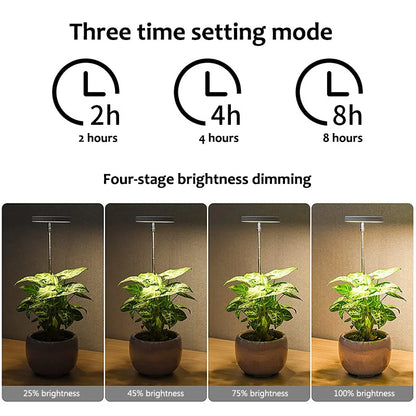 LED Indoor Angel Ring Plant Growth Light - USB 5V with On/Off Timer - Retractable Height Full Spectrum Simulated Sunlight