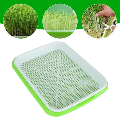 Microgreens Sprouter Tray — Hydroponic Sprouting Tray for Garden, Nursery & Potted Plants
