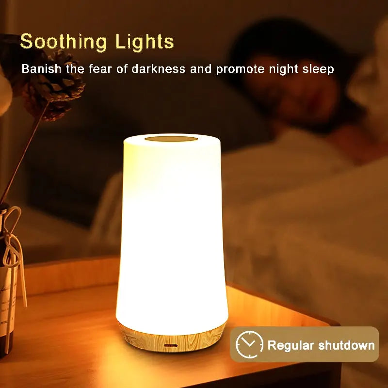 13 Color Changing Night Light - Remote Control Touch USB Rechargeable RGB Lamp, Dimmable Portable Table Bedside Lamp