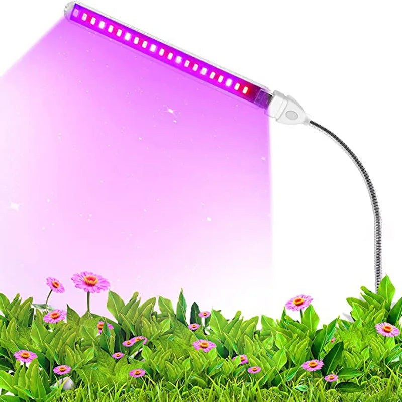 Portable Full Spectrum LED Grow Light — Red & Blue Phytolamp USB for Indoor Plants, Greenhouse, Vegetables & Hydroponics