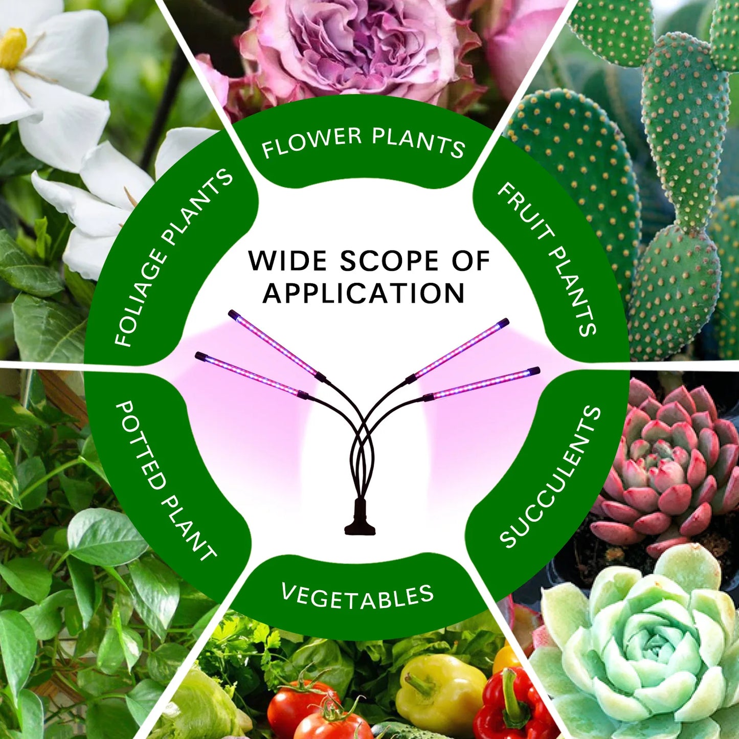 USB LED Plant Grow Light — Indoor Garden Full Spectrum Lamp with 10 Dimmable Levels, Timer Settings 3H/9H/12H for Hydroponic & Greenhouse Plants