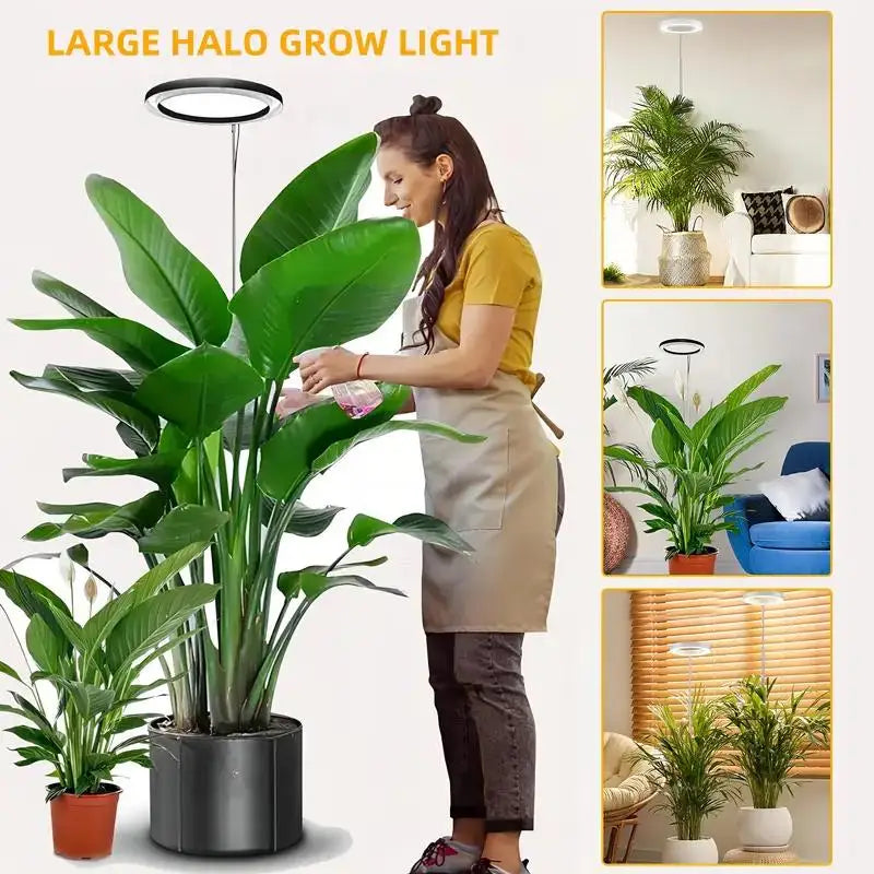 Height Adjustable LED Grow Light — Full Spectrum Plant Growing Lamp with 3 Timers for Indoor Large Plants