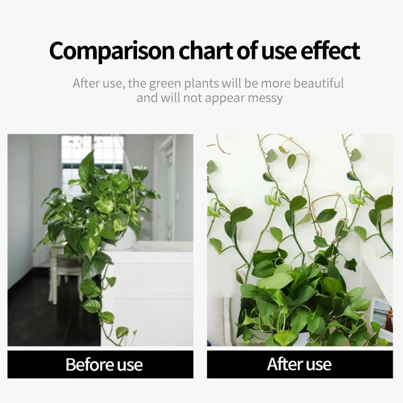 Self-Adhesive Plant Climbing Wall Buckle Hook: Fastener Tied Fixture for Garden Plant Wall - Vine Clips Included