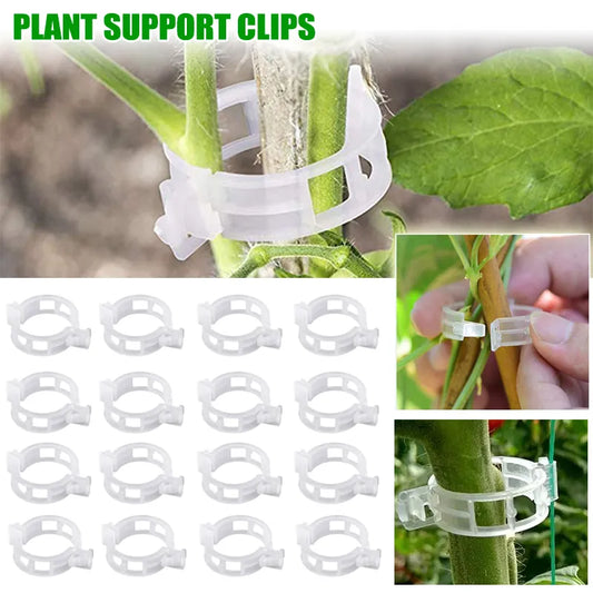 Reusable Plastic Plant Clips: Supports for Tomato Stem Grafting, Vine Fixing - Orchard and Garden Tools