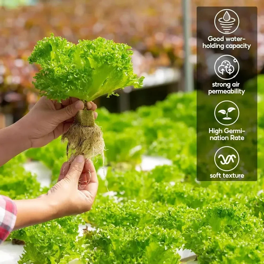 Seedling Grow Cubes — Stonewool Soilless Hydroponic Blocks for Vegetable & Plant Growing