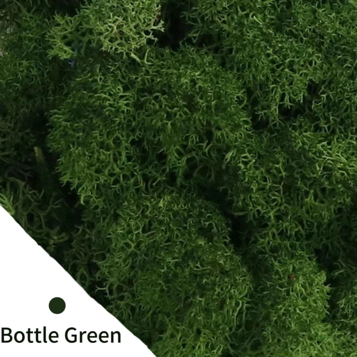 48640855605555|48640855638323|48640855736627