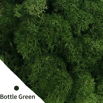 48640855605555|48640855638323|48640855736627