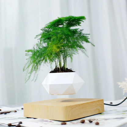 Levitating Air Bonsai Pot – Magnetic Floating Rotating Planter for Home Décor (Without Plants)