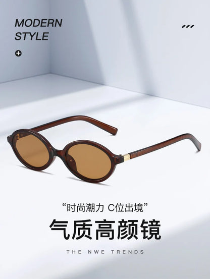 Fashion Oval Retro Sunglasses for Women – Simple Literary Design, Small Frame UV400 Luxury Travel Eyewear