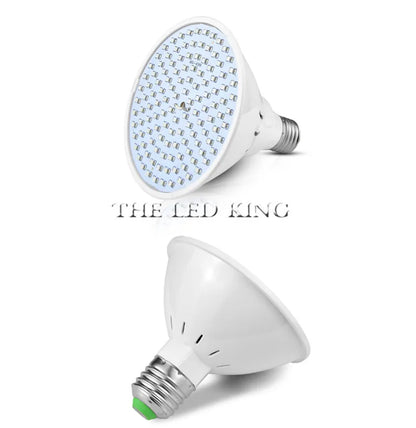 Phyto Lamp Full Spectrum LED Grow Light — E27 Plant Lamp for Indoor Seedlings, Flowers & Grow Tent Box