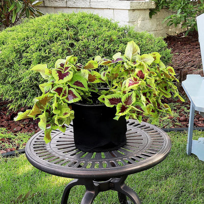 5-Pack Grow Bags with Handles — Aeration Fabric Pots for Plants, Available in 3, 4, 5, 7 & 30 Gallon