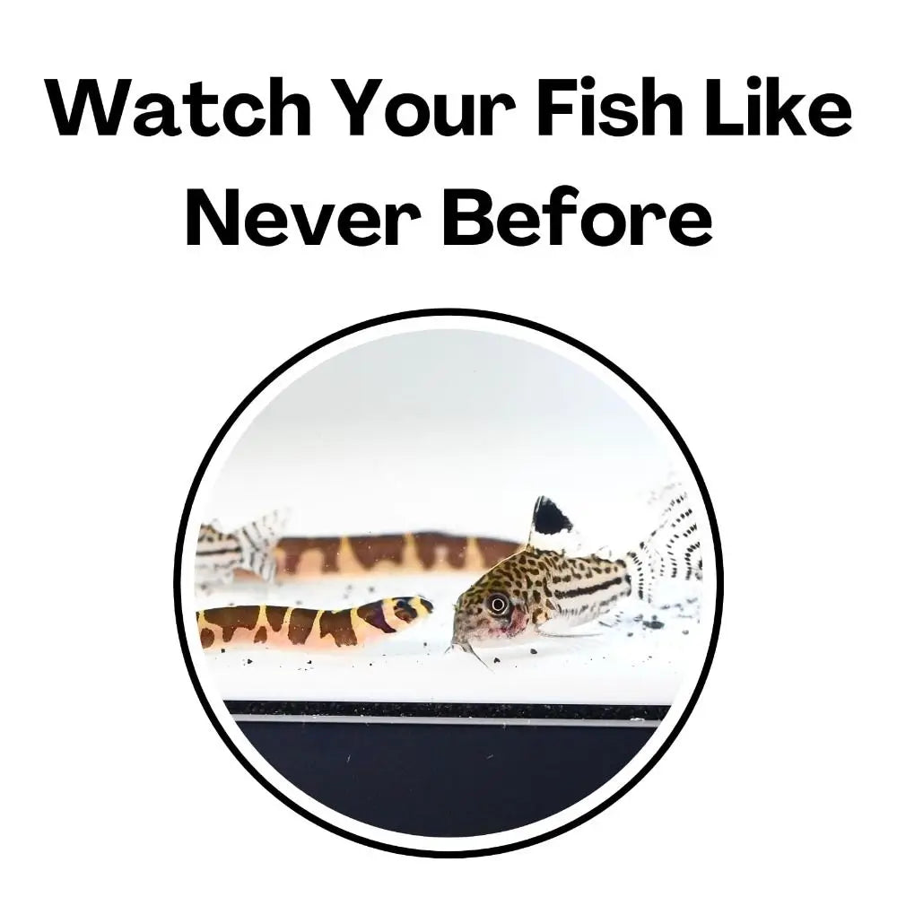 Multifunctional Aquarium Tunnel Cave – Under Gravel Two-Hole Fish Tank Decoration with Curved Design