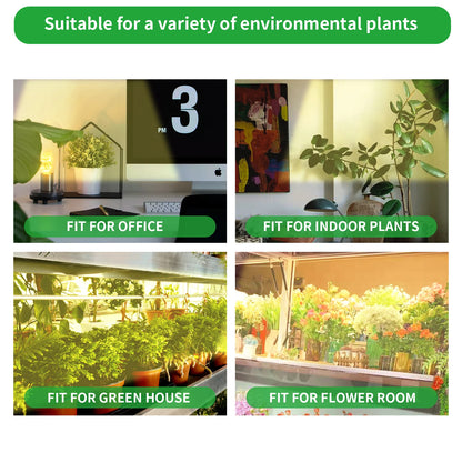 USB LED Plant Grow Light — Indoor Garden Full Spectrum Lamp with 10 Dimmable Levels, Timer Settings 3H/9H/12H for Hydroponic & Greenhouse Plants