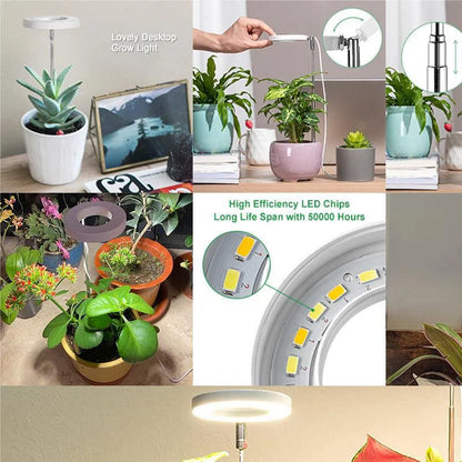 LED Full Spectrum Grow Light – Adjustable Dimmable Hydroponic Plant Lamp with Timer for Indoor Gardening