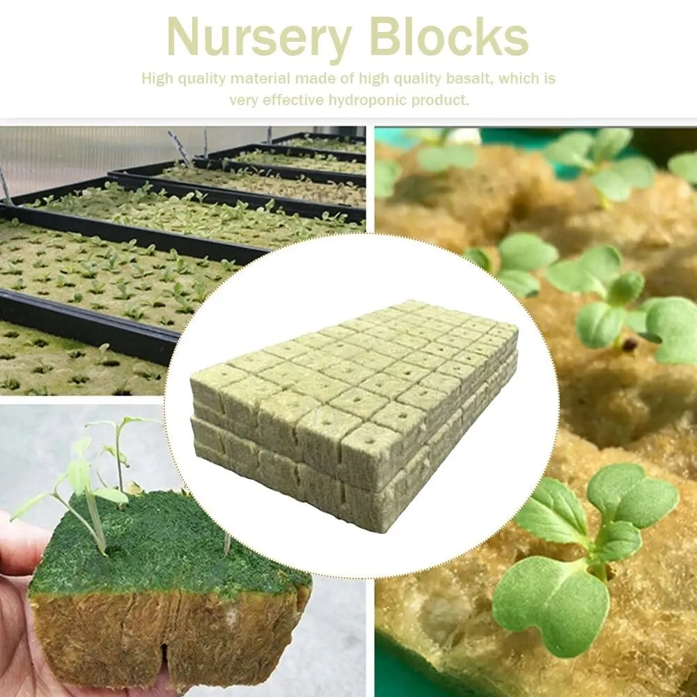 50pcs 25x25x25mm Stonewool Hydroponic Grow Cubes — Rockwool Seedling Blocks for Soilless Plant Cultivation