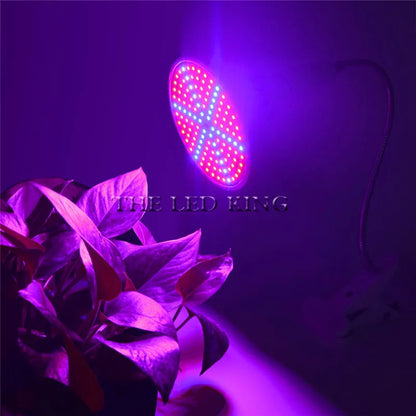 Phyto Lamp Full Spectrum LED Grow Light — E27 Plant Lamp for Indoor Seedlings, Flowers & Grow Tent Box